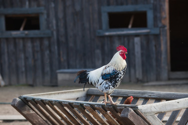 Similar image 21272078