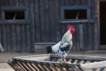 Similar image 21272079