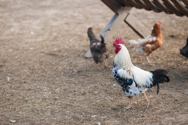 Similar image 21282600