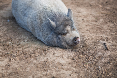 Similar image 21272080