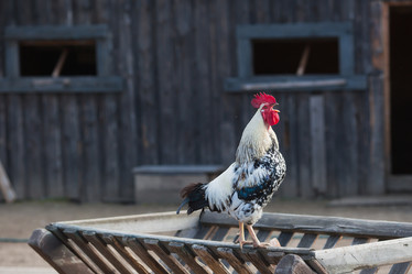 Similar image 21272081