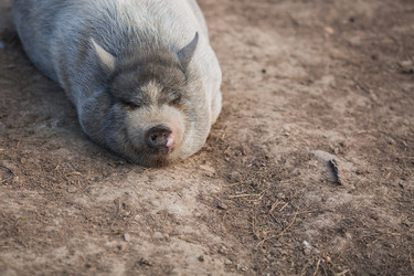 Similar image 21272082