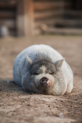 Similar image 21272083