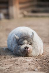 Similar image 21272085