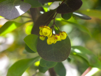 Similar image 21268501