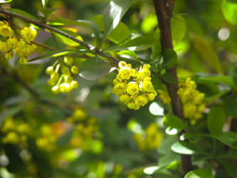 Similar image 21268502