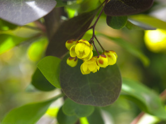 Similar image 21268503