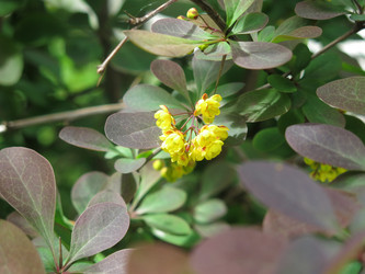 Similar image 21268504