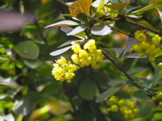 Similar image 21268506