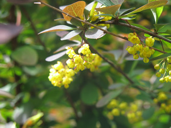 Similar image 21268508