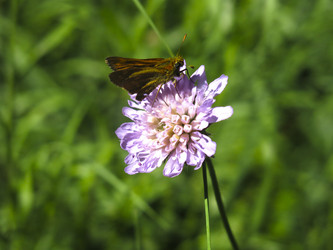 Similar image 21268509