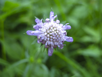 Similar image 21268511