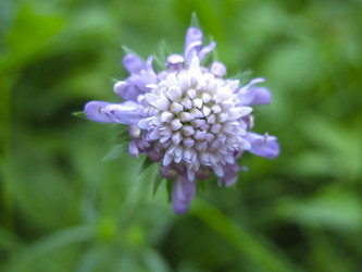 Similar image 21268512