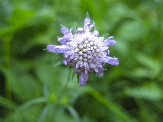 Similar image 21268513