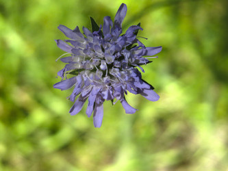 Similar image 21268514