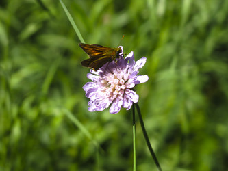 Similar image 21268515