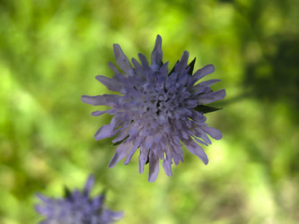 Similar image 21268516