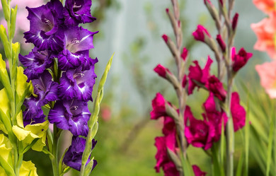 Similar image 21272310