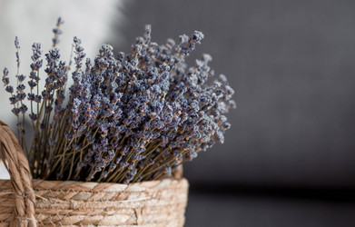 Similar image 21272488