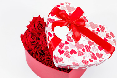 Similar image 21288009