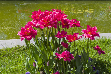 Similar image 21268521