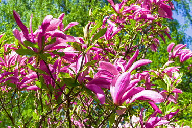 Similar image 21268523