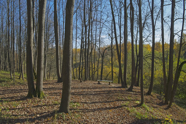 Similar image 21268525