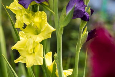 Similar image 21270539