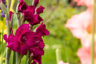 Similar image 21270540