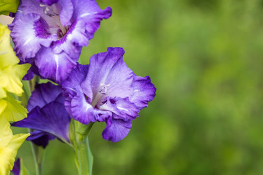 Similar image 21272335