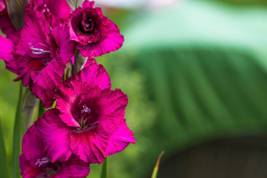 Similar image 21272336