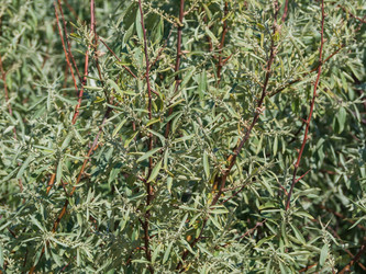 Similar image 21268531