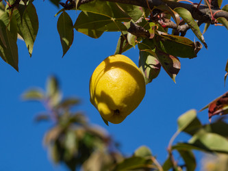 Similar image 21268534