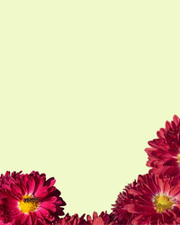 Similar image 21268535