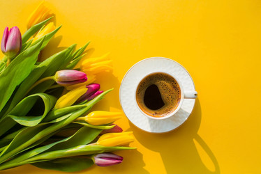 Similar image 21272119