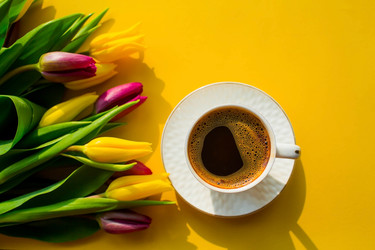 Similar image 21272121