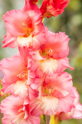 Similar image 21272126