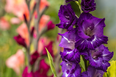 Similar image 21272643