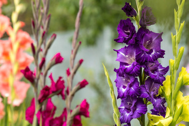 Similar image 21272649