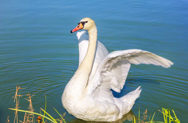 Similar image 21283470