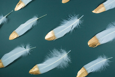 Similar image 21272133