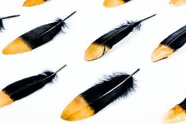 Similar image 21272134