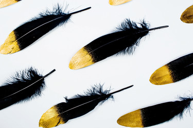 Similar image 21272138