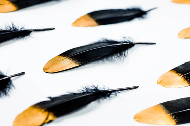 Similar image 21272139