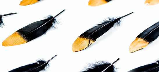 Similar image 21272147