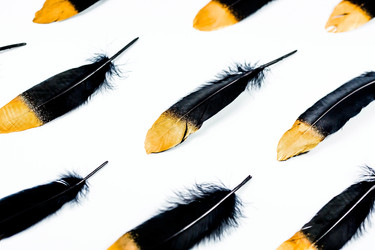 Similar image 21272149