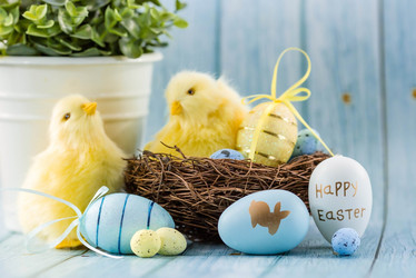 Similar image 21272150