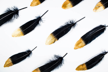 Similar image 21272151