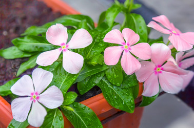 Similar image 21282720