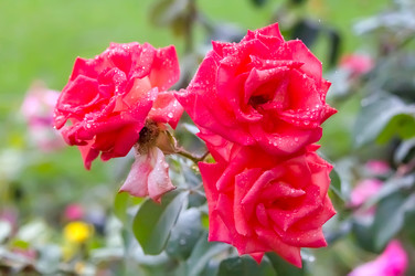 Similar image 21282722